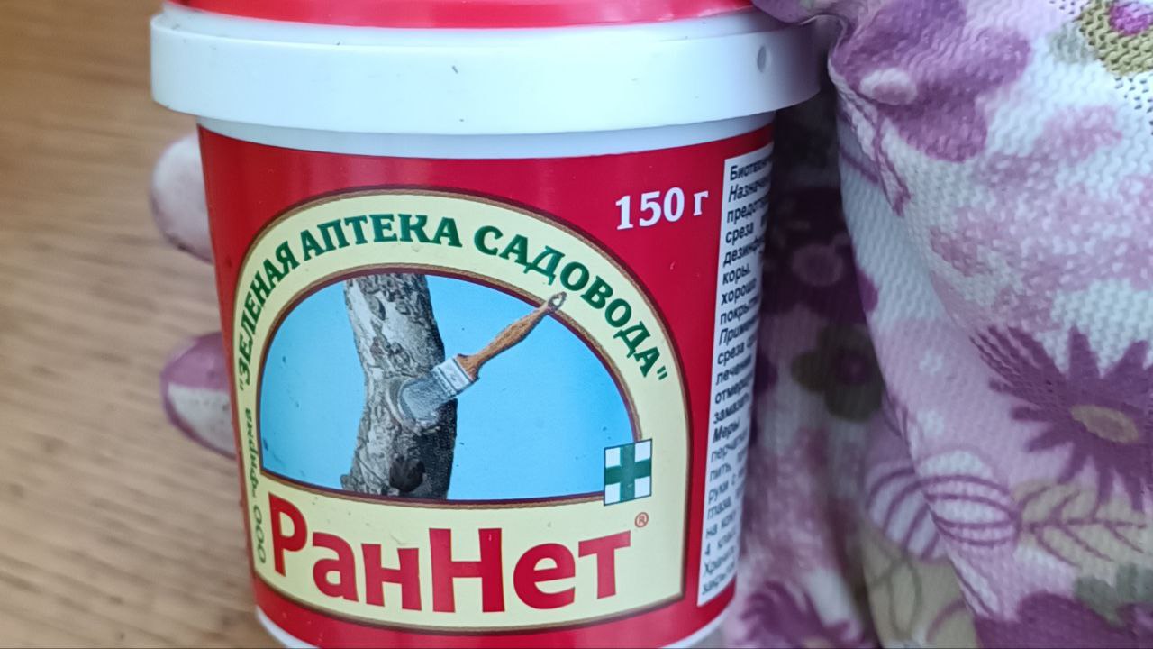 Новости